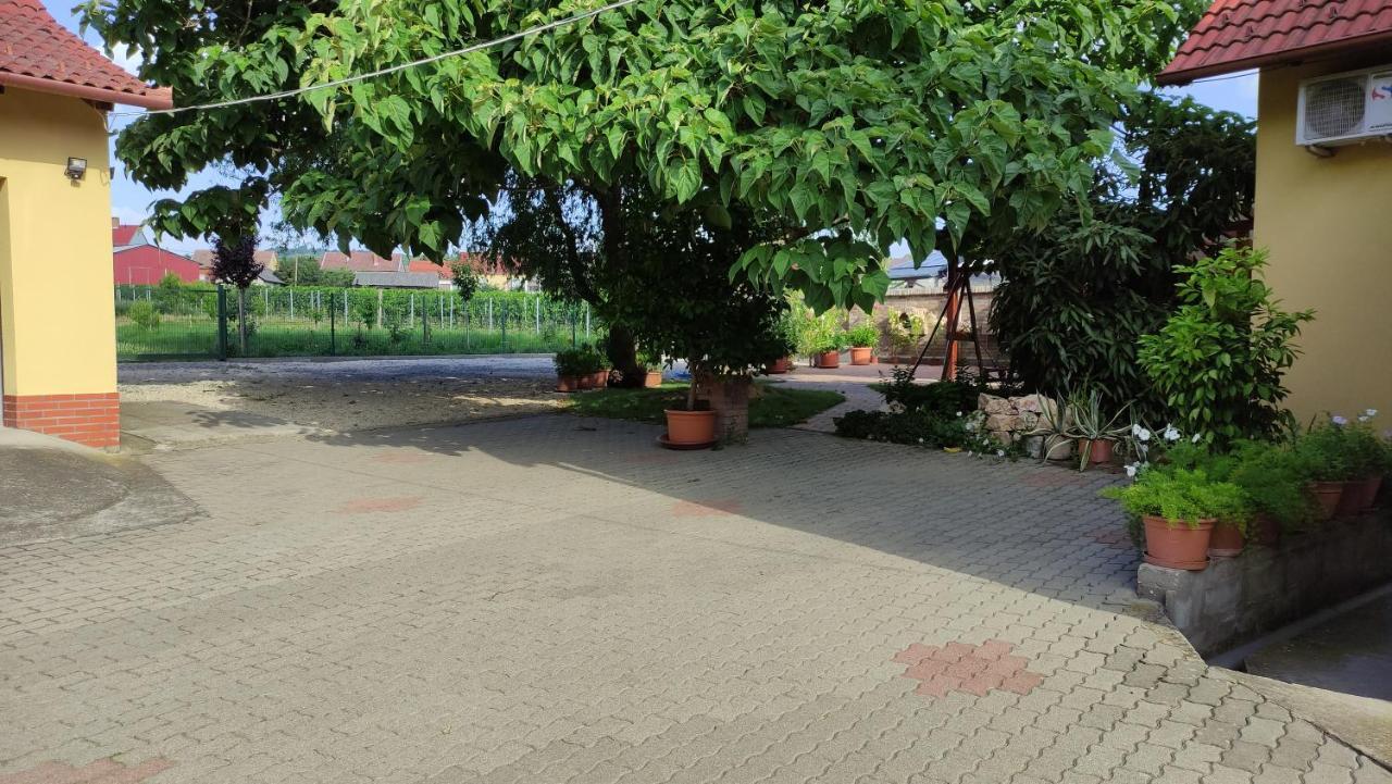 Eckhardt Vendégház Villány Buitenkant foto